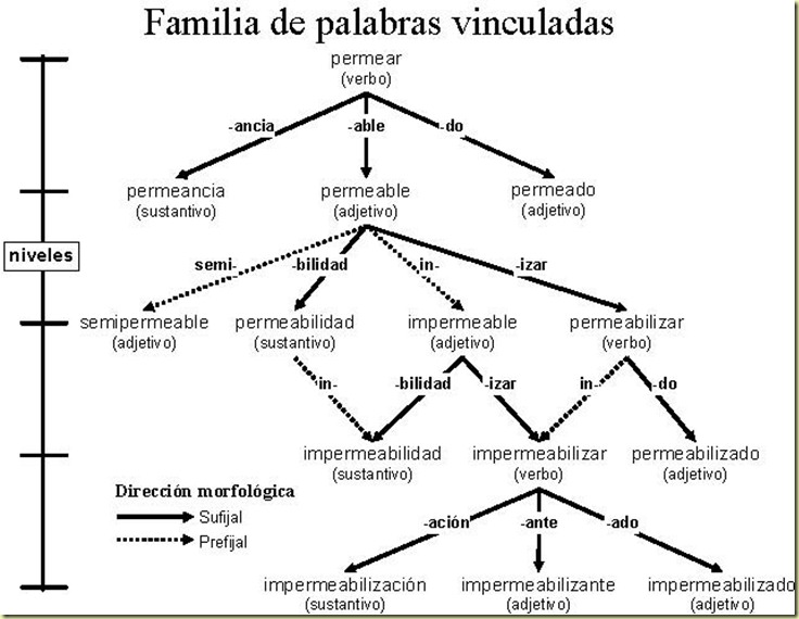 Familia de Palabras