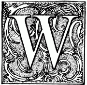 Letra W